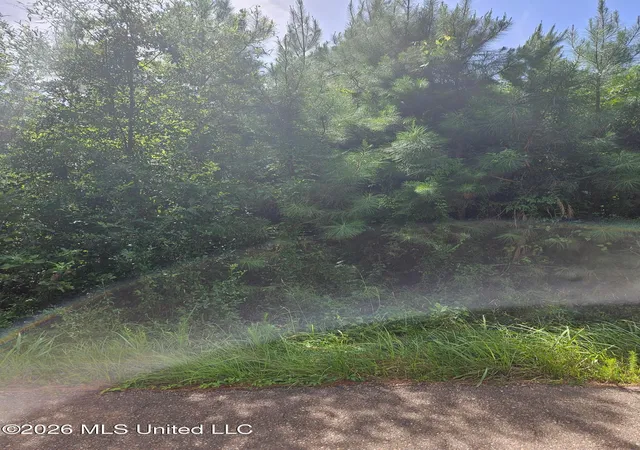 Photo 2 of Land for sale at Log Cabin Rd, Roxie, MS 39661 | MLS# 4160220 | Listing updated on 2026-08-24