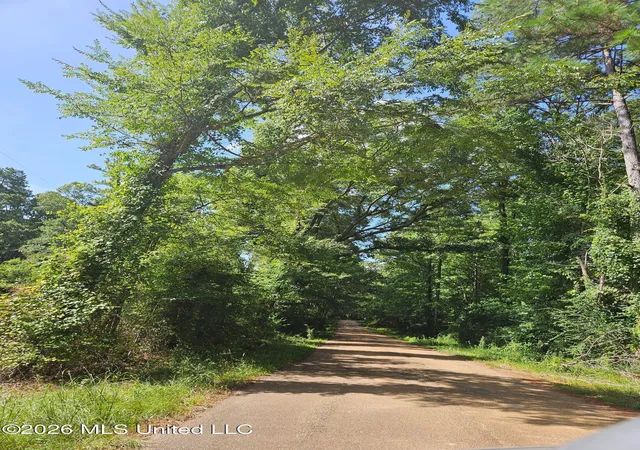 Photo 3 of Land for sale at Log Cabin Rd, Roxie, MS 39661 | MLS# 4160220 | Listing updated on 2026-08-24