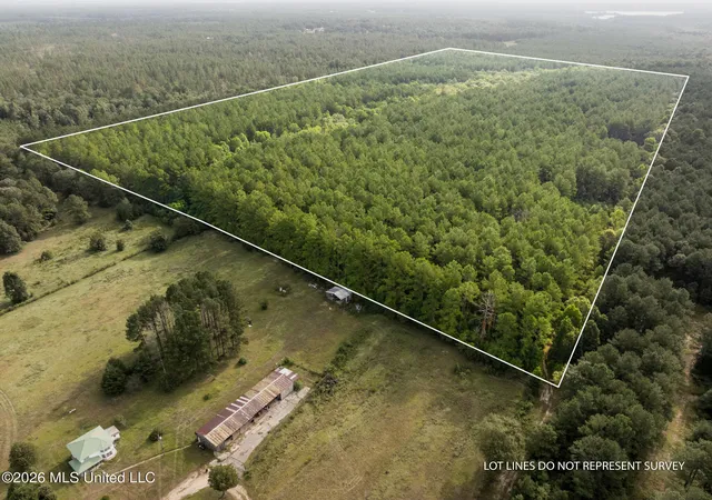 Land for sale at Arthur Lowe Rd, Lumberton, MS 39455 | MLS# 4160226