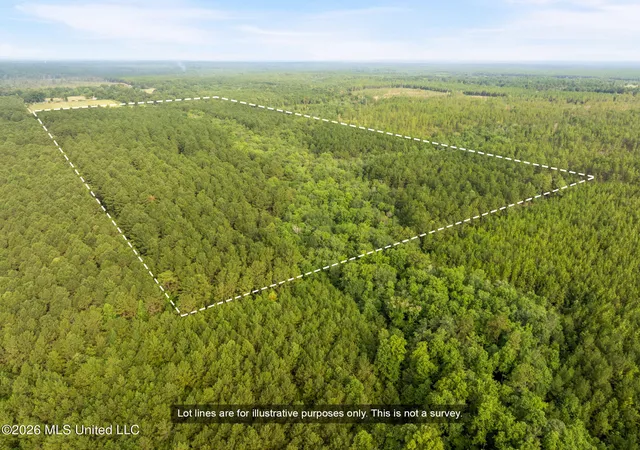 Photo 2 of Land for sale at Arthur Lowe Rd, Lumberton, MS 39455 | MLS# 4160226 | Listing updated on 2026-08-24