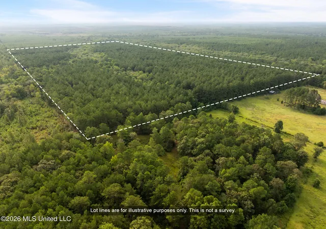 Photo 3 of Land for sale at Arthur Lowe Rd, Lumberton, MS 39455 | MLS# 4160226 | Listing updated on 2026-08-24