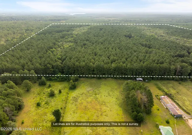 Photo 3 of Land for sale at Arthur Lowe Rd, Lumberton, MS 39455 | MLS# 4160226 | Listing updated on 2026-08-24