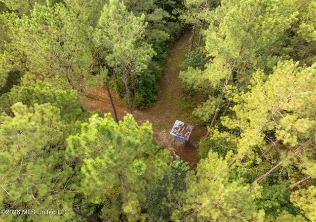 Photo 4 of Land for sale at Arthur Lowe Rd, Lumberton, MS 39455 | MLS# 4160226 | Listing updated on 2026-08-24