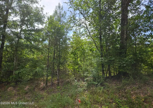 Photo 1 of Land for sale at Log Cabin Rd Rd, Roxie, MS 39661 | MLS# 4160223 | Listing updated on 2026-08-24