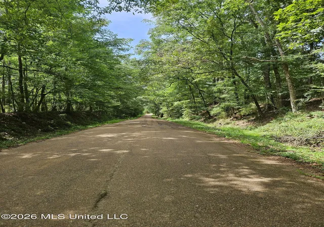 Photo 2 of Land for sale at Log Cabin Rd Rd, Roxie, MS 39661 | MLS# 4160223 | Listing updated on 2026-08-24