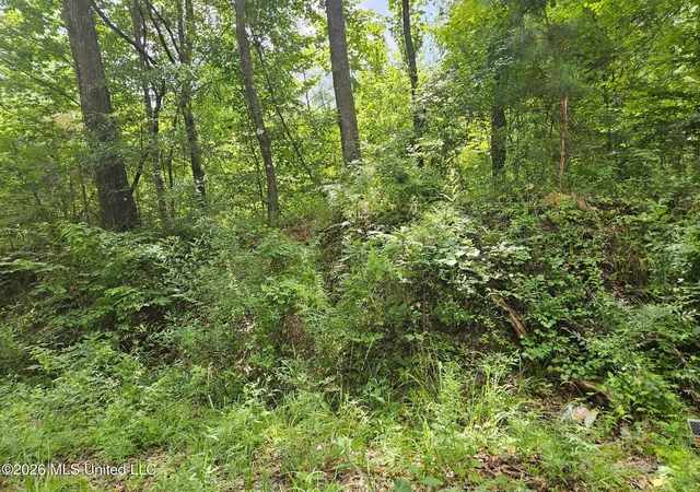 Photo 3 of Land for sale at Log Cabin Rd Rd, Roxie, MS 39661 | MLS# 4160223 | Listing updated on 2026-08-24
