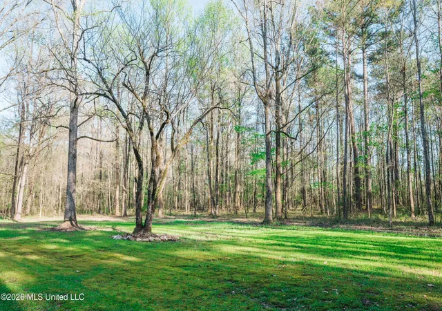 Photo 2 of Single family home for sale at 2568 Raymond Williams Rd, Sturgis, MS 39769 | MLS# 4160259 | Listing updated on 2026-09-01