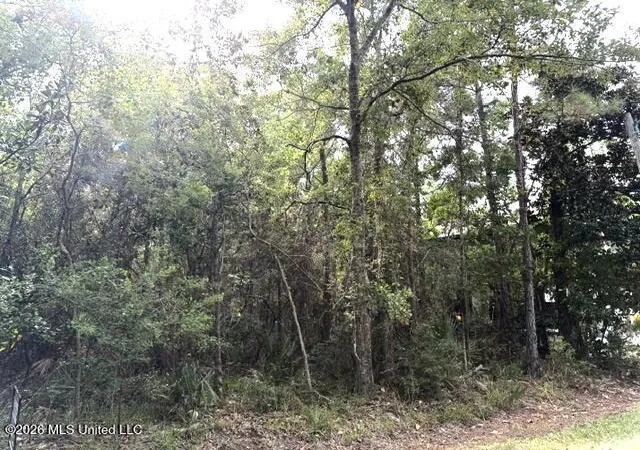 Photo 3 of Land for sale at Clarence Ave, Pass Christian, MS 39571 | MLS# 4160647 | Listing updated on 2026-08-29