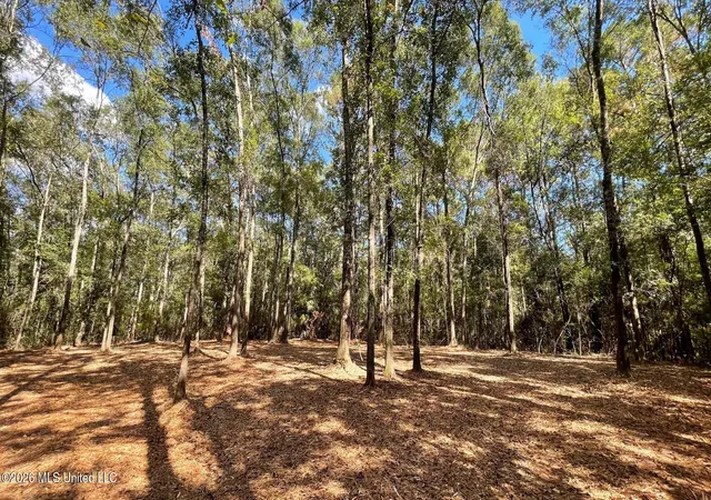 Photo 1 of Land for sale at Old Hwy 49, Saucier, MS 39574 | MLS# 4160253 | Listing updated on 2026-08-24