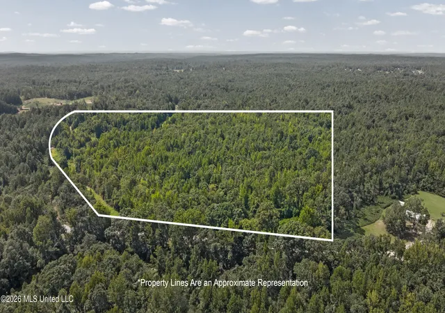 Land for sale at Musgray Rd, Waterford, MS 38685 | MLS# 4160418