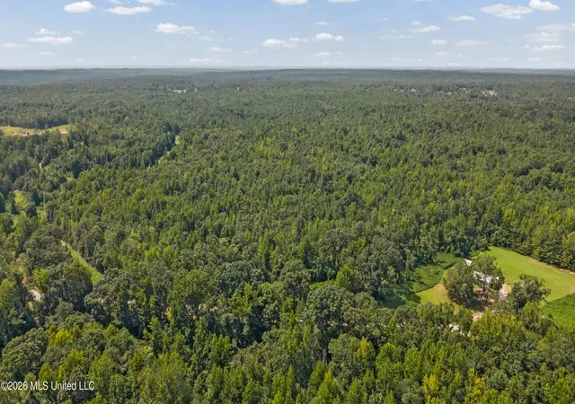 Photo 3 of Land for sale at Musgray Rd, Waterford, MS 38685 | MLS# 4160418 | Listing updated on 2026-09-16