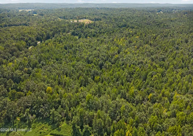 Photo 4 of Land for sale at Musgray Rd, Waterford, MS 38685 | MLS# 4160418 | Listing updated on 2026-09-16