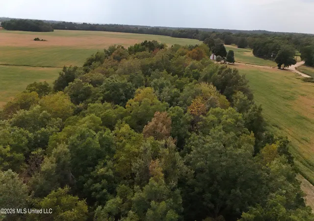 Photo 2 of Land for sale at 3342 Campbell Rd, Tutwiler, MS 38963 | MLS# 4160438 | Listing updated on 2026-08-26