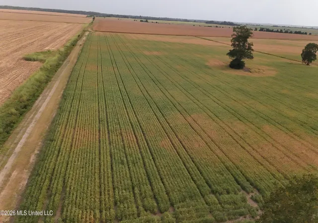 Photo 3 of Land for sale at 3342 Campbell Rd, Tutwiler, MS 38963 | MLS# 4160438 | Listing updated on 2026-08-26