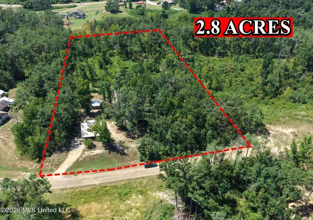 Photo 4 of Sale Pending at 203 Pine Rdg, Pope, MS 38658 | MLS# 4160301 | Listing updated on 2026-09-04