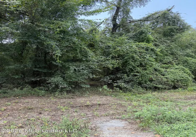 Photo 1 of Land for sale at Lot 4 Pascagoula River Dr, Lucedale, MS 39452 | MLS# 4160370 | Listing updated on 2026-08-25