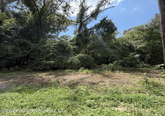 Photo 2 of Land for sale at Lot 4 Pascagoula River Dr, Lucedale, MS 39452 | MLS# 4160370 | Listing updated on 2026-08-25