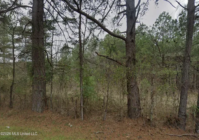 Photo 1 of Sale Pending at Lot 33 Sleepy Hollow Rd, Terry, MS 39170 | MLS# 4160312 | Listing updated on 2026-09-01