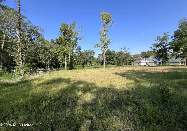 Land for sale at Rock Ranch Road, Carriere, MS 39426 | MLS# 4160343