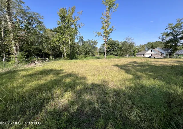 Photo 3 of Land for sale at Rock Ranch Road, Carriere, MS 39426 | MLS# 4160343 | Listing updated on 2026-08-25