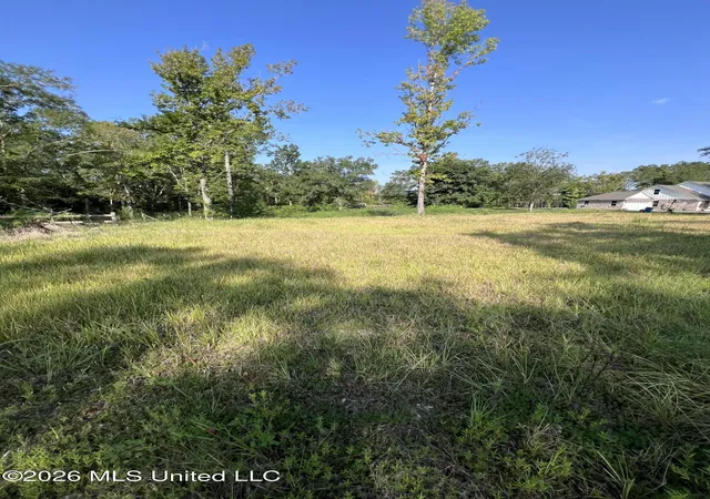 Photo 3 of Land for sale at Rock Ranch Road, Carriere, MS 39426 | MLS# 4160343 | Listing updated on 2026-08-25