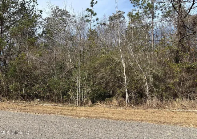 Photo 1 of Land for sale at 00 Crestwick St St, Saucier, MS 39574 | MLS# 4160361 | Listing updated on 2026-08-25