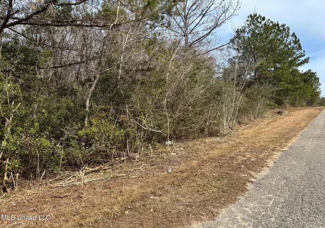 Photo 2 of Land for sale at 00 Crestwick St St, Saucier, MS 39574 | MLS# 4160361 | Listing updated on 2026-08-25