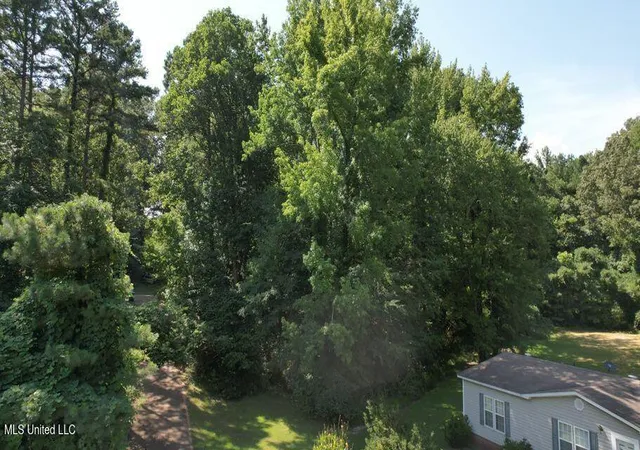 Photo 3 of Land for sale at Unassigned Jack Williams, Grenada, MS 38901 | MLS# 4160421 | Listing updated on 2026-08-25