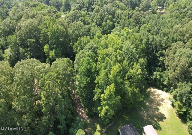 Photo 4 of Land for sale at Unassigned Jack Williams, Grenada, MS 38901 | MLS# 4160421 | Listing updated on 2026-08-25