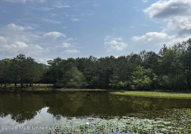 Photo 3 of Land for sale at 15528 Broadus Rd, Saucier, MS 39574 | MLS# 4160540 | Listing updated on 2026-09-06