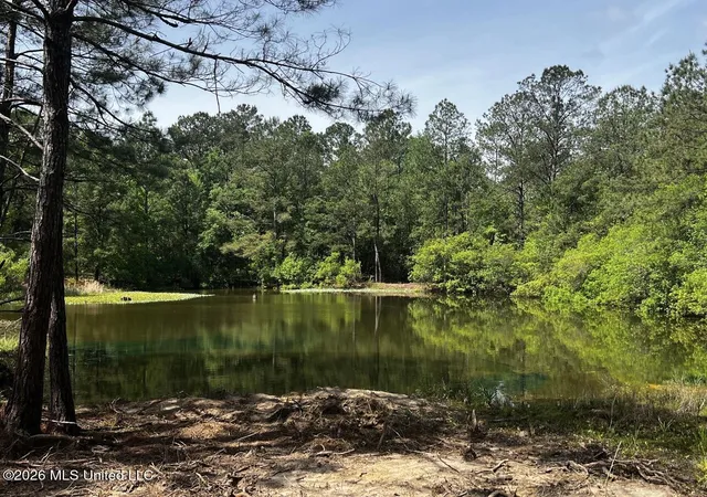 Photo 3 of Land for sale at 15528 Broadus Rd, Saucier, MS 39574 | MLS# 4160540 | Listing updated on 2026-09-06