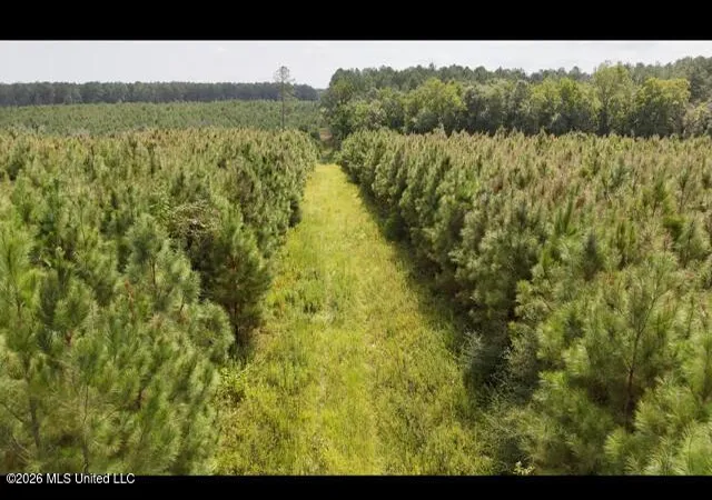 Photo 1 of Land for sale at Ten Mile Creek Rd, Tylertown, MS 39667 | MLS# 4160423 | Listing updated on 2026-08-26