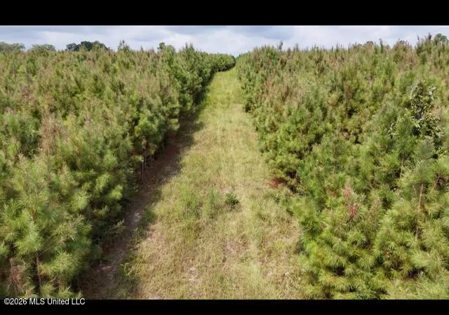 Photo 2 of Land for sale at Ten Mile Creek Rd, Tylertown, MS 39667 | MLS# 4160423 | Listing updated on 2026-08-26
