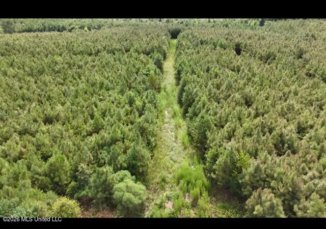 Photo 2 of Land for sale at Ten Mile Creek Rd, Tylertown, MS 39667 | MLS# 4160423 | Listing updated on 2026-08-26