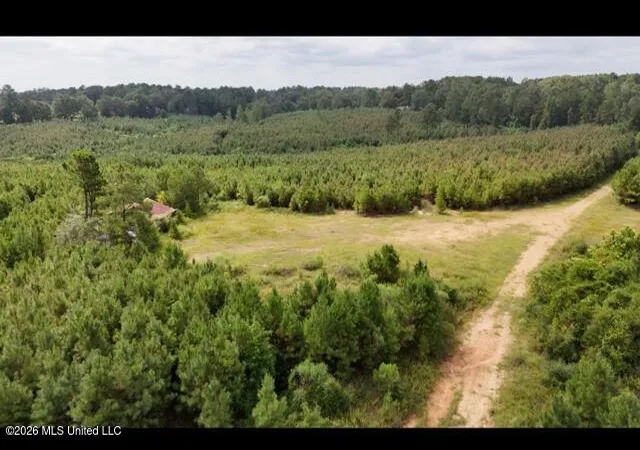 Photo 3 of Land for sale at Ten Mile Creek Rd, Tylertown, MS 39667 | MLS# 4160423 | Listing updated on 2026-08-26