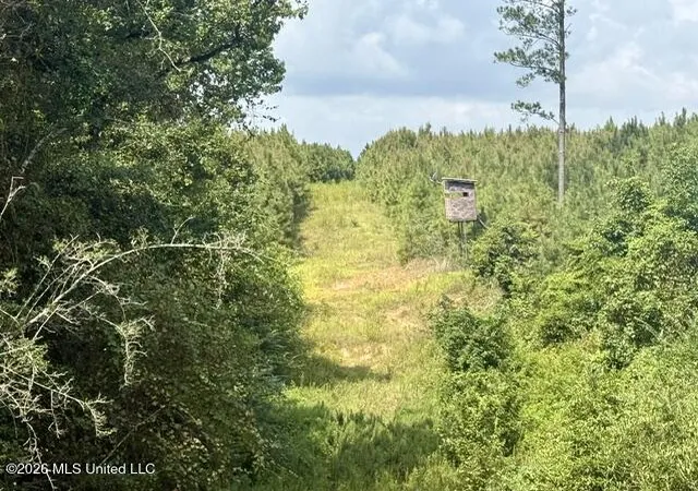 Photo 4 of Land for sale at Ten Mile Creek Rd, Tylertown, MS 39667 | MLS# 4160423 | Listing updated on 2026-08-26