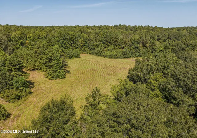 Photo 4 of Land for sale at 5056 Bethesda Rd, Crystal Springs, MS 39059 | MLS# 4160450 | Listing updated on 2026-08-26