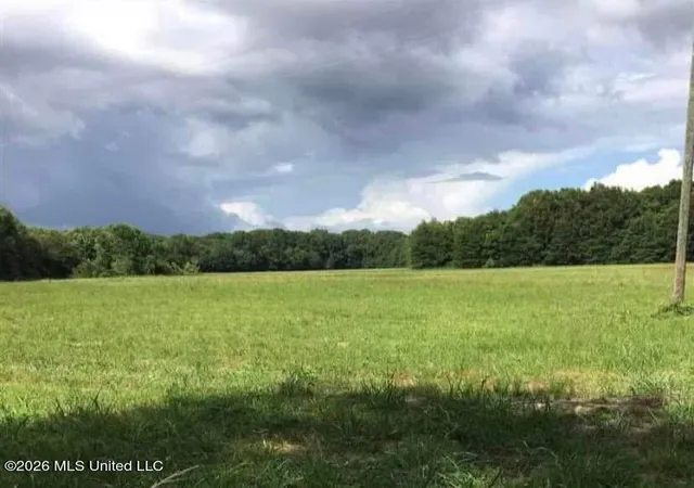 Photo 2 of Land for sale at Wilson Bates Rd, Morton, MS 39117 | MLS# 4160481 | Listing updated on 2026-09-15