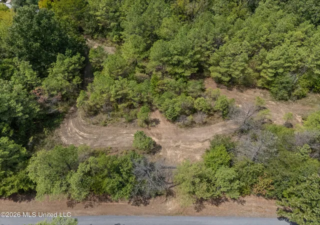 Photo 3 of Land for sale at Brownlee Rd, Sarah, MS 38665 | MLS# 4160557 | Listing updated on 2026-08-27