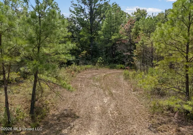 Photo 4 of Land for sale at Brownlee Rd, Sarah, MS 38665 | MLS# 4160557 | Listing updated on 2026-08-27