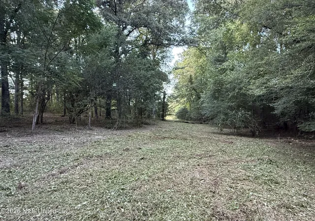 Photo 2 of Land for sale at N Jordan St, Carthage, MS 39051 | MLS# 4160618 | Listing updated on 2026-08-27