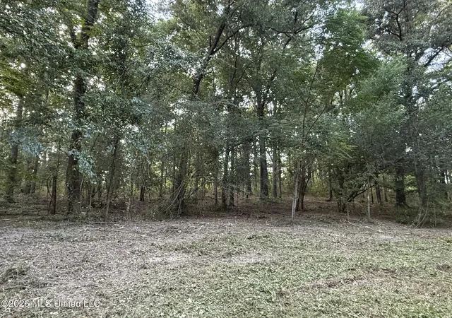 Photo 3 of Land for sale at N Jordan St, Carthage, MS 39051 | MLS# 4160618 | Listing updated on 2026-08-27