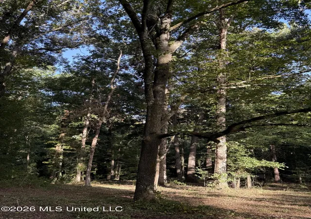 Photo 3 of Land for sale at N Jordan St, Carthage, MS 39051 | MLS# 4160618 | Listing updated on 2026-08-27