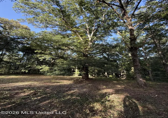 Photo 4 of Land for sale at N Jordan St, Carthage, MS 39051 | MLS# 4160618 | Listing updated on 2026-08-27