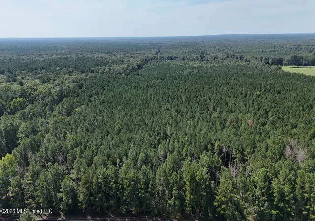 Photo 3 of Sale Pending at Davis Rd, Morton, MS 39117 | MLS# 4160499 | Listing updated on 2026-09-08
