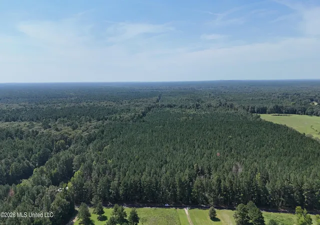 Photo 4 of Sale Pending at Davis Rd, Morton, MS 39117 | MLS# 4160499 | Listing updated on 2026-09-08