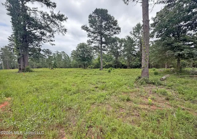 1st image of N Old 63 N Hwy, Lucedale, MS 39452 | MLS# 4160506