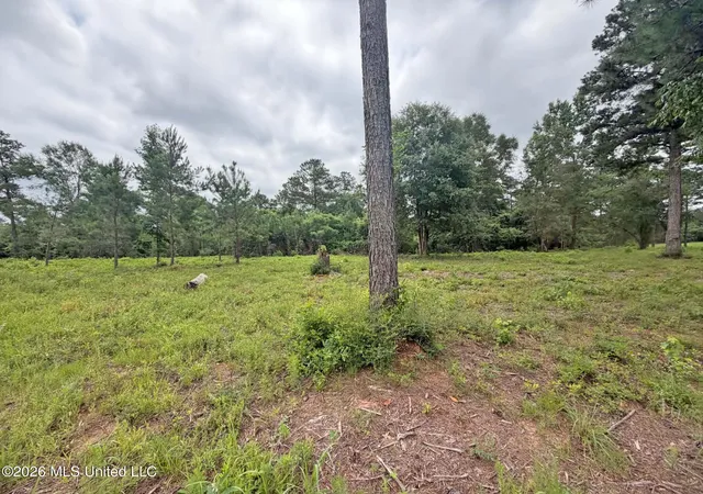 2nd image of N Old 63 N Hwy, Lucedale, MS 39452 | MLS# 4160506