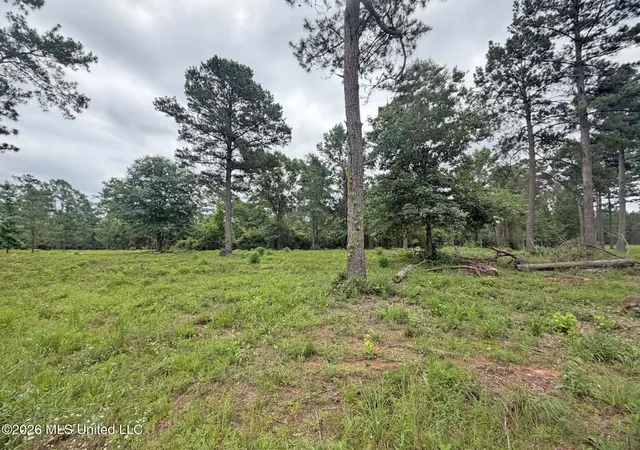 Photo 3 of Land for sale at N Old 63 N Hwy, Lucedale, MS 39452 | MLS# 4160506 | Listing updated on 2026-08-26