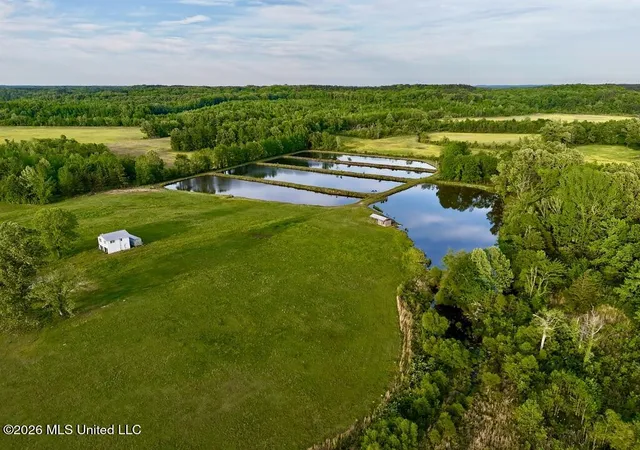 Photo 2 of Land for sale at 00001 County Road 204, Tiplersville, MS 38674 | MLS# 4160815 | Listing updated on 2026-08-29